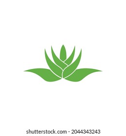 aloe vera green leaf logo icon vector illustration template design