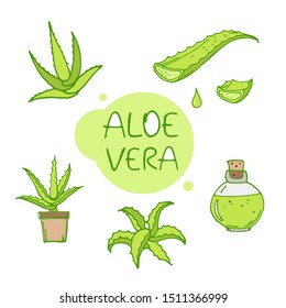 Aloe vera hand drawing set. Vector illustration. The plant is used in medicine and natural cosmetics. For packaging design.