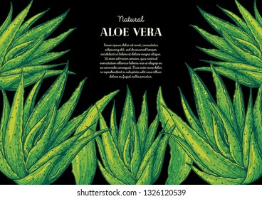 Aloe vera hand drawn frame. Vector illustration. Botanical design with aloe. Colorful illustration.