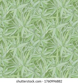 Aloe Vera Hand Drawn Seamless Pattern. Vector Illustration. Healing And Cosmetics Herb.