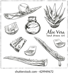 Aloe vera hand drawn set. Isolated Vector illustration. Kitchen hand-drawn herbs and spices. Health and Nature Collection. 