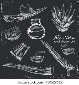 Aloe vera hand drawn set. Isolated Vector illustration. Kitchen hand-drawn herbs and spices. Health and Nature Collection. 