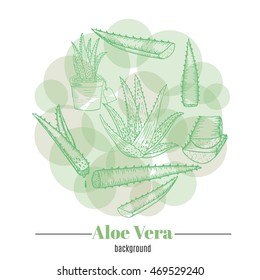 Aloe vera hand drawn set. Aloe Vera illustration. Medical plant. Great for traditional medicine design.Aloe vera isolated. Aloe leaf.Stock vector  