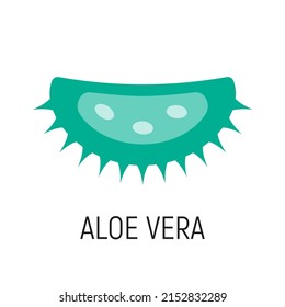 Aloe vera herb slice design. Flat vector logotype element.