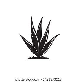 Aloe Vera Herbs, Aloe Vera Silhouette Vector