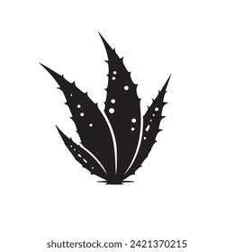 Aloe Vera Herbs, Aloe Vera Silhouette Vector