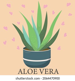 aloe vera, houseplant, flower in a pot - vector illustration, vector element in flat style