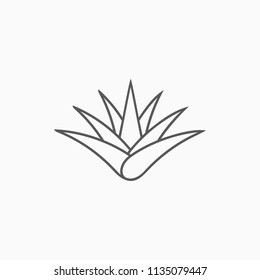 aloe vera icon