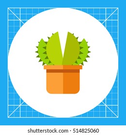 Aloe Vera Icon