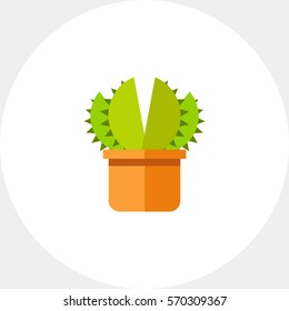 Aloe Vera Icon