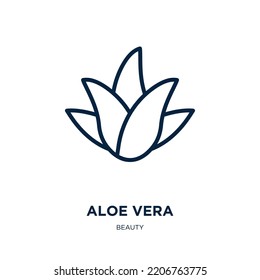 ícono de aloe vera de la colección de belleza. Icono delgado de aloe vera lineal, natural, contorno de planta aislado en fondo blanco. Signo de la línea vectorial aloe vera, símbolo para web y móvil