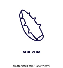 aloe vera icon from beauty collection. Thin linear aloe vera, vera, aloe outline icon isolated on white background. Line vector aloe vera sign, symbol for web and mobile