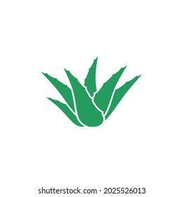 Aloe vera icon design illustration template