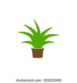 Aloe vera icon design illustration template