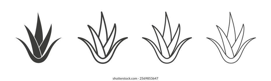 Aloe vera icon flat and linear vector illustration on white background.
