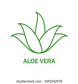 Aloe vera icon isolated on white background. Aloe vera flat icon for web site,app,banner and logo. Userful for poster,ads, label, emblem and badge. Creative art concept, vector illustration, eps 10