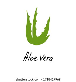 Aloe vera icon isolated on white background. Aloe vera flat icon for web site, app, banner and logo.