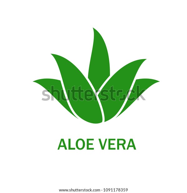 Aloe vera icon isolated on white background. Aloe vera\
flat icon for web site,app,banner and logo. Userful for poster,ads,\
label, emblem and badge. Creative art concept, vector illustration,\
eps 10
