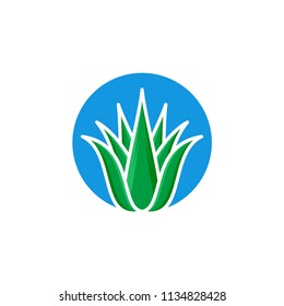 aloe vera icon logo template vector illustration
