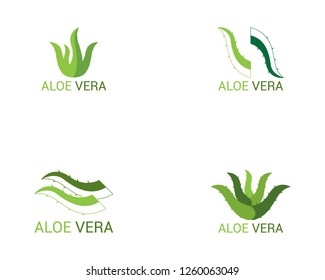 Aloe vera icon logo template