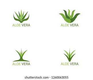 Aloe vera icon logo template