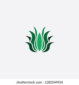 aloe vera icon logo vector sign design element