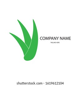 aloe vera icon logo vector