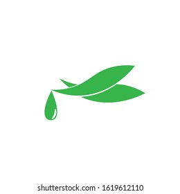 Aloe Vera Icon Logo Vector