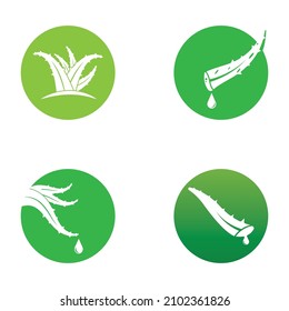 Aloe vera icon logo vector illustration 