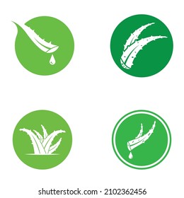 Aloe vera icon logo vector illustration 