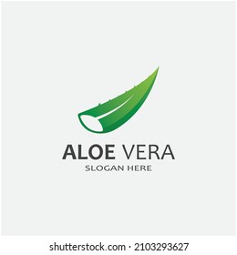 Aloe vera icon logo vector illustration 