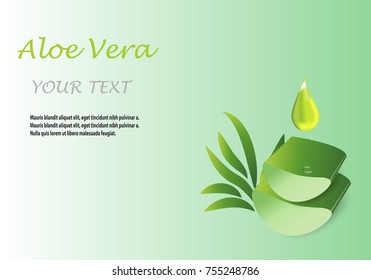 Aloe vera icon on a green background, can be used as a logo and promotional and advertising posters. Vector illustration.