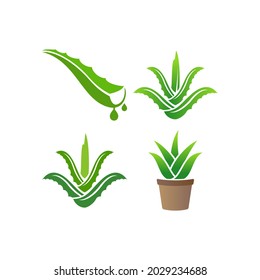 Aloe vera icon set design illustration template