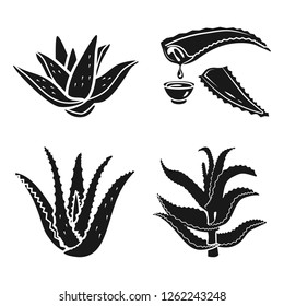 Aloe vera icon set. Simple set of aloe vera vector icons for web design on white background