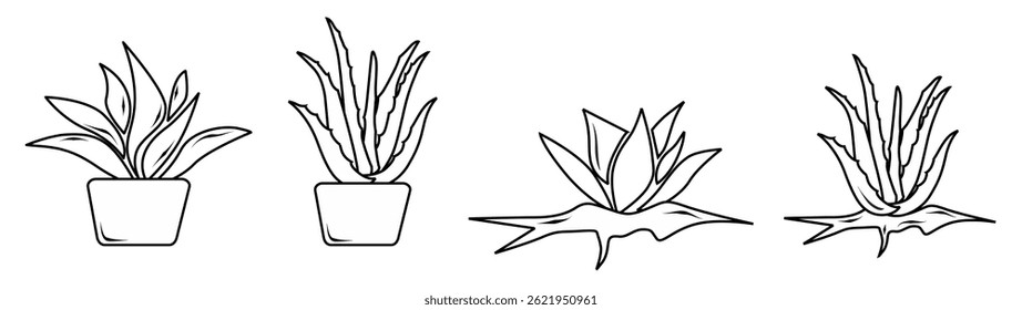 Conjunto de iconos de aloe vera Vector 