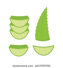 Aloe Vera Icon Set Vector Design.