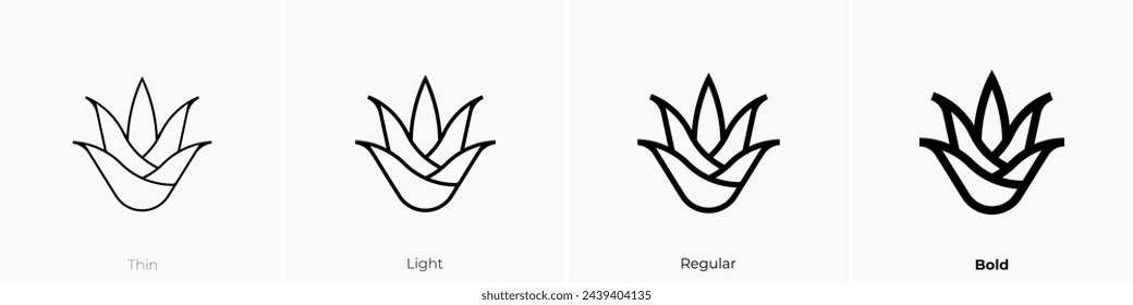 aloe vera icon. Thin, Light Regular And Bold style design isolated on white background