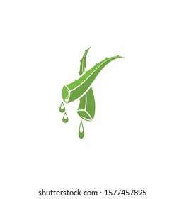 Aloe vera icon Vector Illustration design Logo template