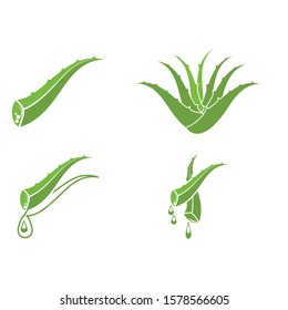 Aloe vera icon Vector Illustration design Logo template