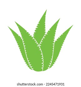 aloe vera icon vector illustration template design