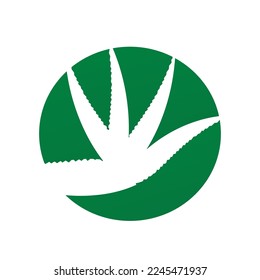 aloe vera icon vector illustration template design