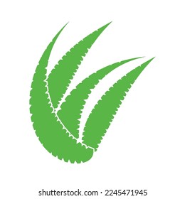 aloe vera icon vector illustration template design