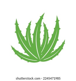 aloe vera icon vector illustration template design