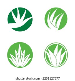 aloe vera icon vector illustration template design
