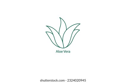 ilustración vectorial de icono de aloe vera 