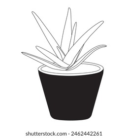 Aloe vera icon icon vector illustration symbol design