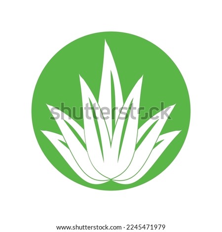 aloe vera icon vector illustration template design