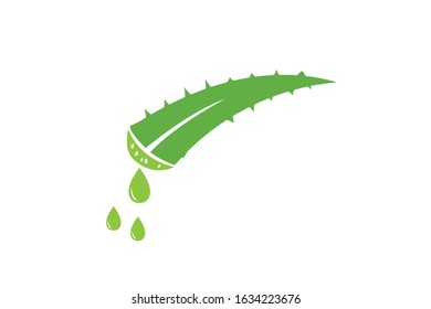 Aloe vera icon vector isolate