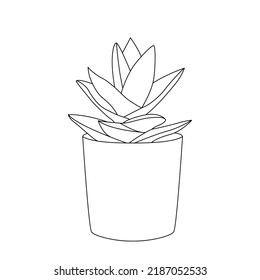 Aloe vera icons isolated on white background. Collection aloe vera green plants. Flat icons for logo, symbol, label and sticker.