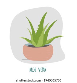 Aloe vera illustration. Indoor plants. House plants stock vector illustration. Plant easy to keep alive. Interior decoration houseplants concept. Flat colorful vector illustration